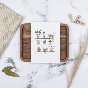 Postkarte, Grußkarte, Geschenkkarte, Dekoration, Pflanzen, Topfpflanzen
