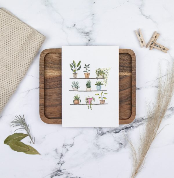 Postkarte, Grußkarte, Geschenkkarte, Dekoration, Pflanzen, Topfpflanzen