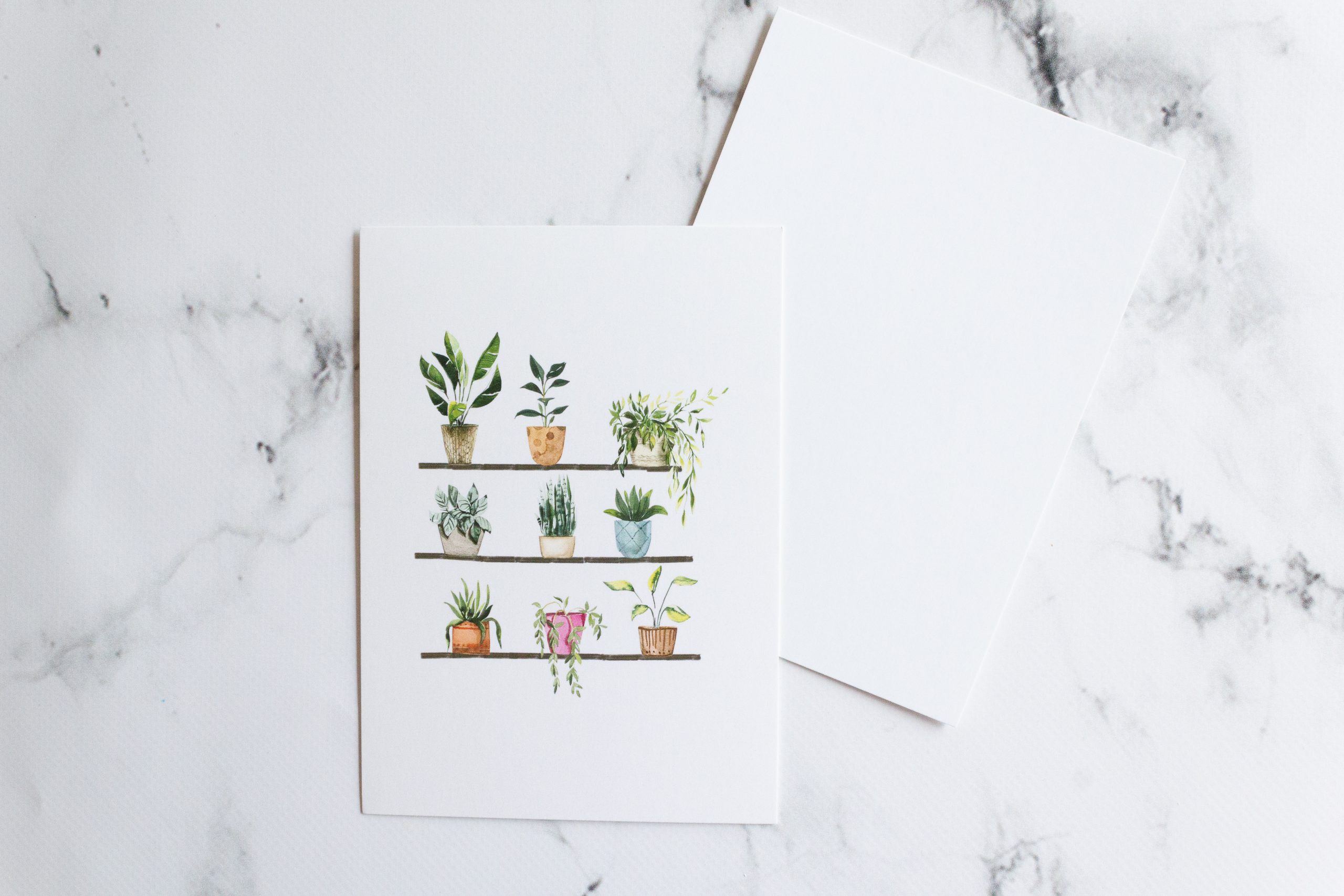 Grußkarte, Geschenkkarte, Blumen, Pflanzen, illustriert